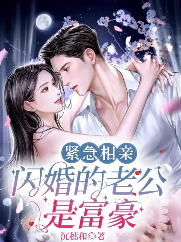 闪婚相亲领证小说